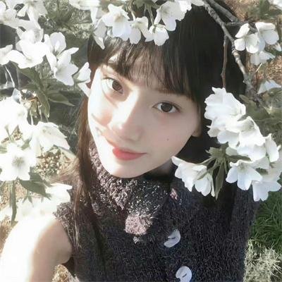 蜘蛛夫人