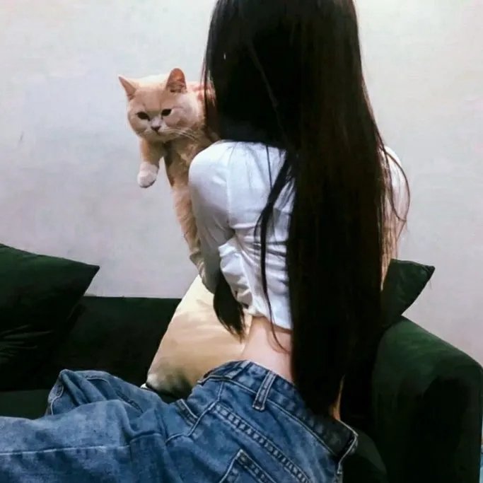 女皮条客